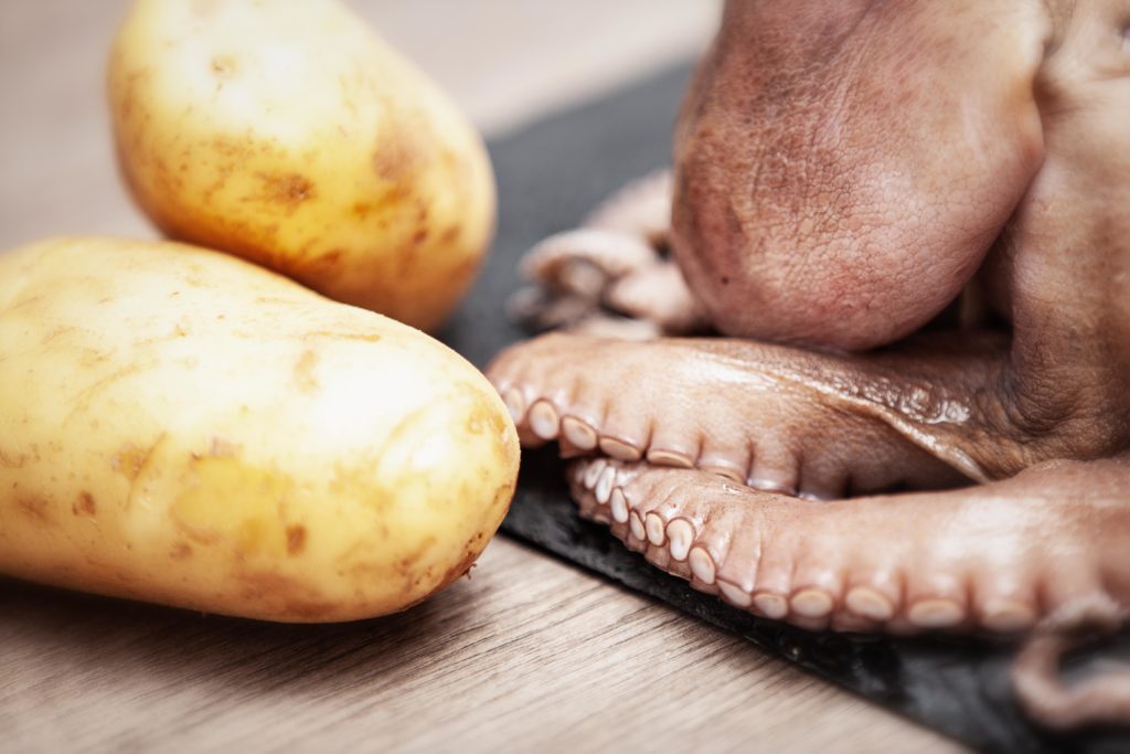 Burger al polpo e patate