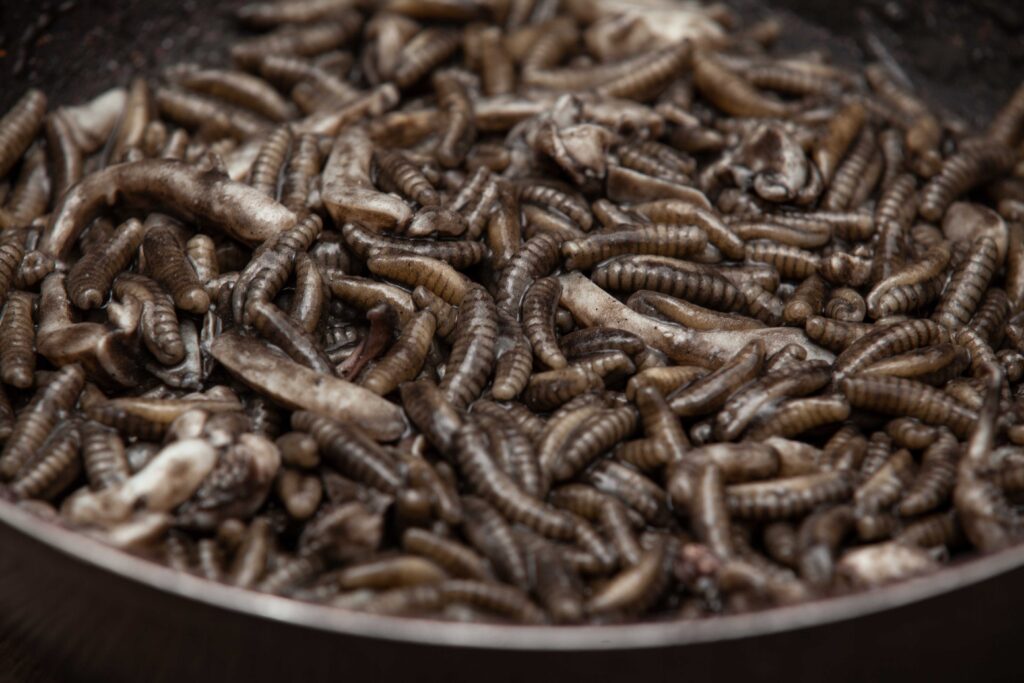 Gnocchetti sardi al nero di seppia - Padelle Volanti