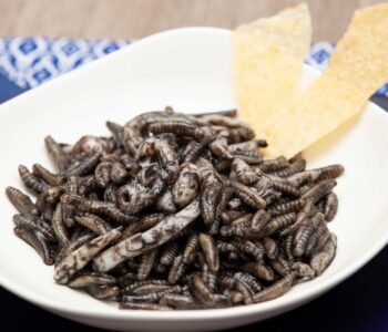 Gnocchetti sardi al nero di seppia - Padelle Volanti