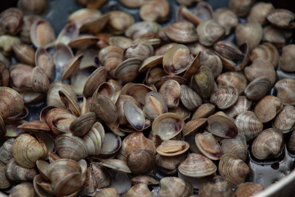 Fregola sarda con vongole lupini - Padelle Volanti